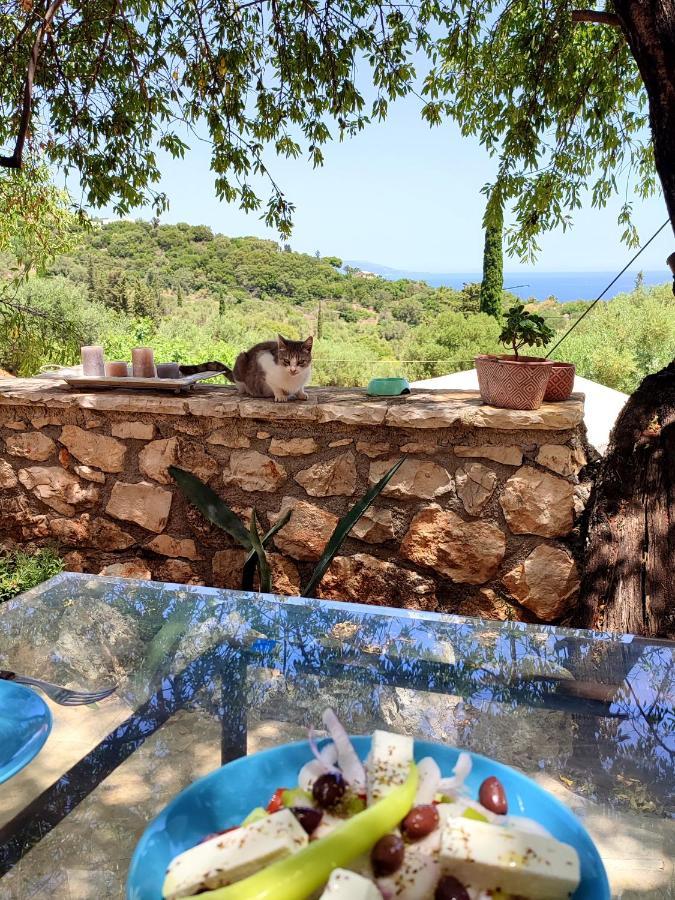 Villa Amygdalo spiti Agios Nikolaos  Esterno foto